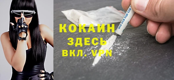 шишки Елабуга