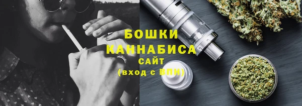 шишки Елабуга