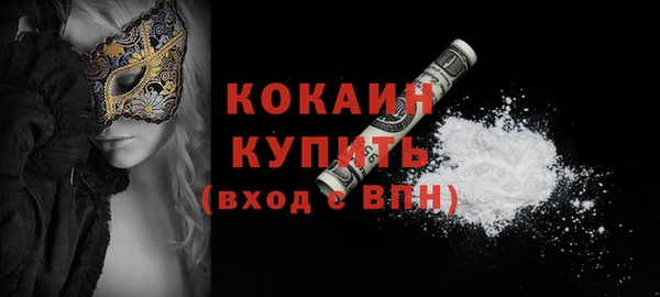 мет Дмитриев