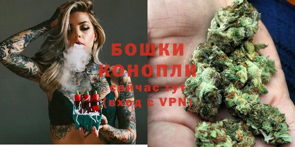 крисы Елизово