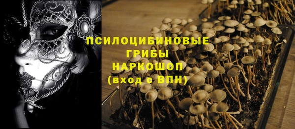кокаин премиум Ельня