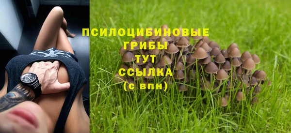 крисы Елизово