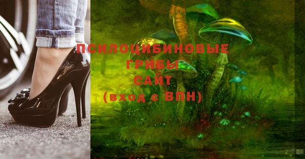 шишки Елабуга