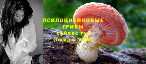 кокаин премиум Ельня