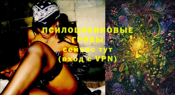 шишки Елабуга