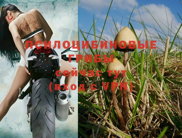 крисы Елизово
